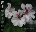 dimetris.com.ua:альбомы:sweet:princess_of_hearts.jpg