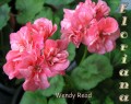 dimetris.com.ua:альбомы:sweet:wendy_read.jpg