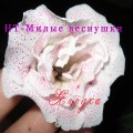 dimetris.com.ua:альбомы:yarmak-viktoriya:нт_-_милые_веснушки.jpg