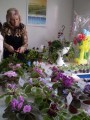 dimetris.com.ua:загрузки:klubs:5005.jpg