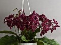 dimetris.com.ua:загрузки:obosveschenii:ds-expressiya.jpg