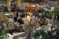dimetris.com.ua:загрузки:selekcionery:festival_2009.jpg