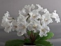 dimetris.com.ua:загрузки:stattya_silvia:rokoko-2.jpg