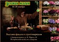 dimetris.com.ua:загрузки:vistavki:zelenayz_magiya-dnepr.jpg