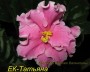 dimetris.ru:цветы:е.в.коршунова:ек-татьяна_2.jpg