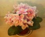 dimetris.ru:цветы:llg:p.sorano:music_box_dancer_2.jpg