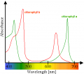 svet-lampi-spektr-fotosintez:chlorophyll.png